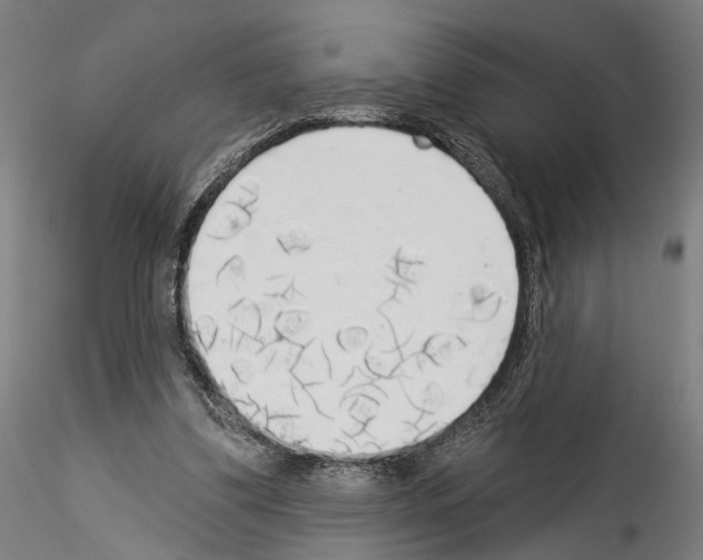 X0000114550299200911301230
