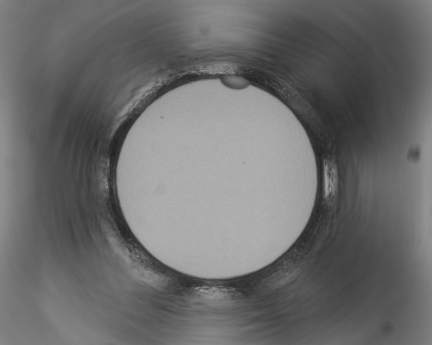 X0000114550300200911301230