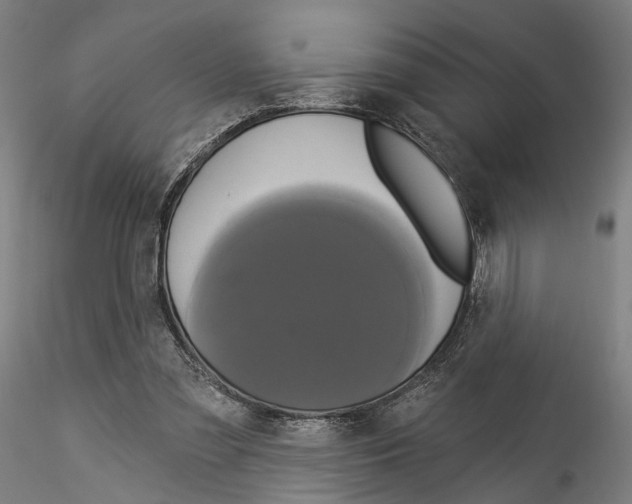 X0000114550301200911301230