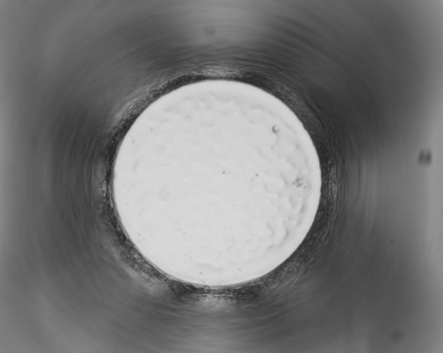 X0000114550303200911301230
