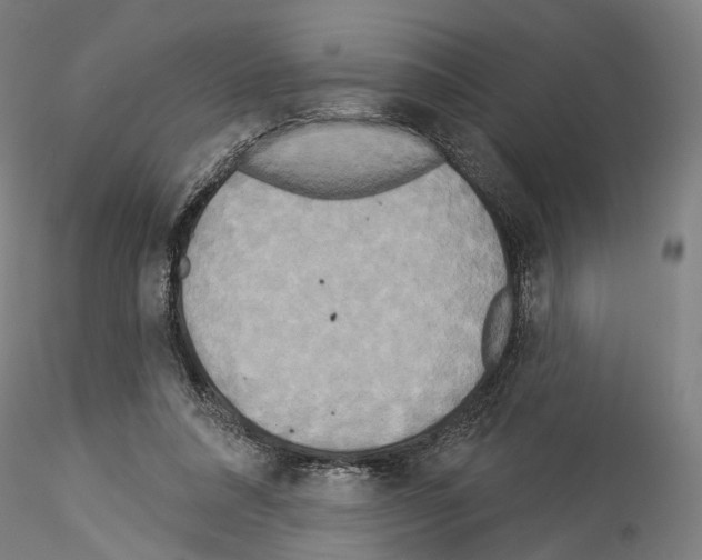 X0000114550304200911301230