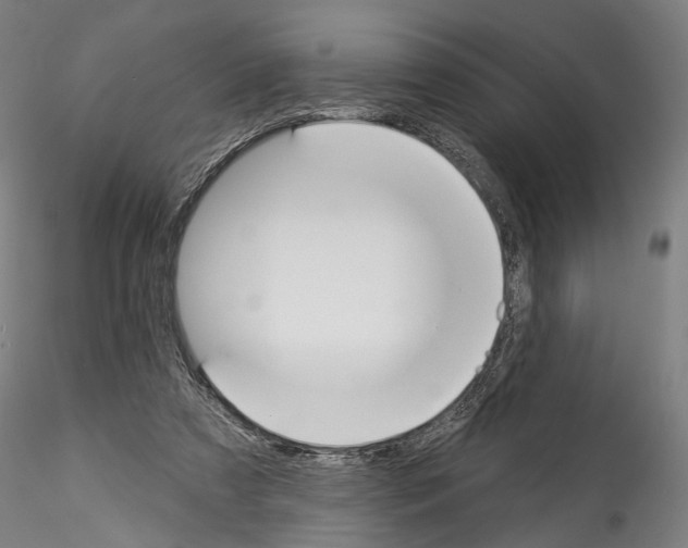 X0000114550305200911301230