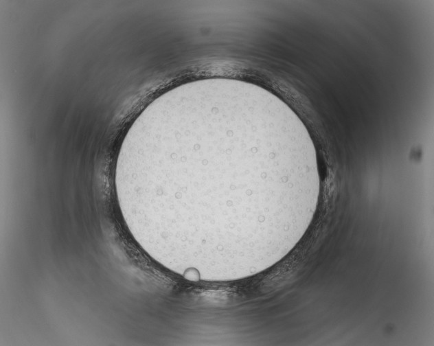 X0000114550306200911301230