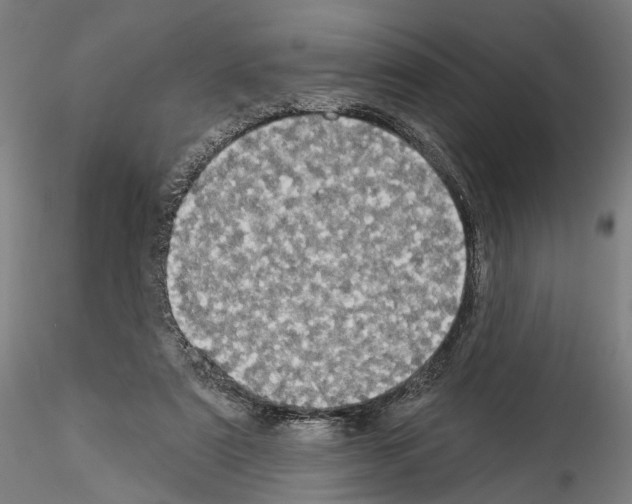 X0000114550307200911301230