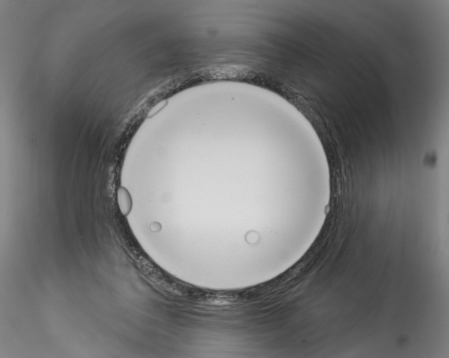X0000114550308200911301230