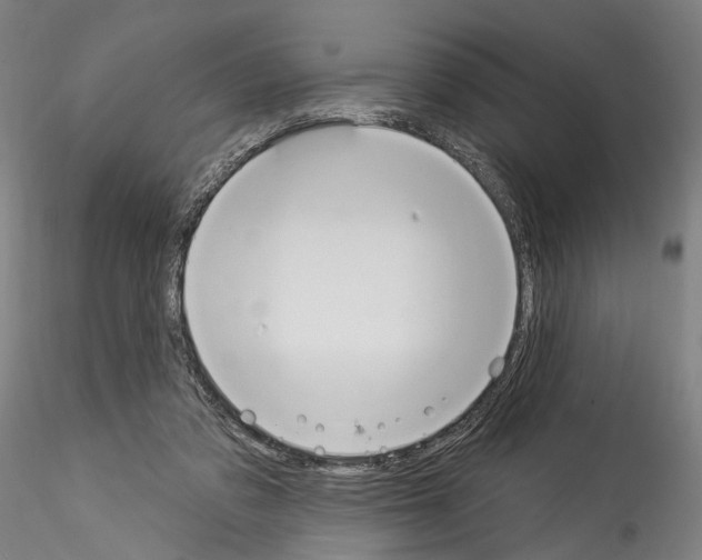 X0000114550309200911301230