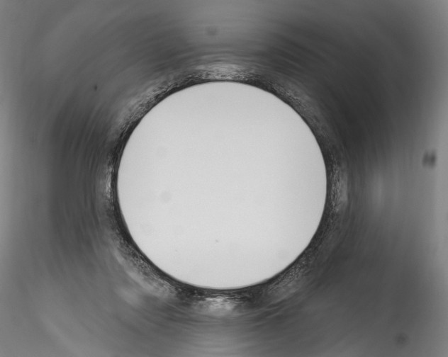 X0000114550310200911301230