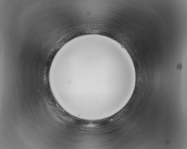 X0000114550312200911301230