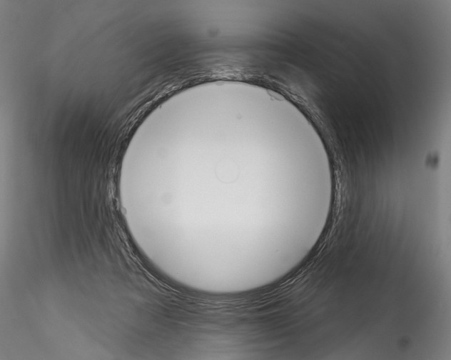 X0000114550313200911301230