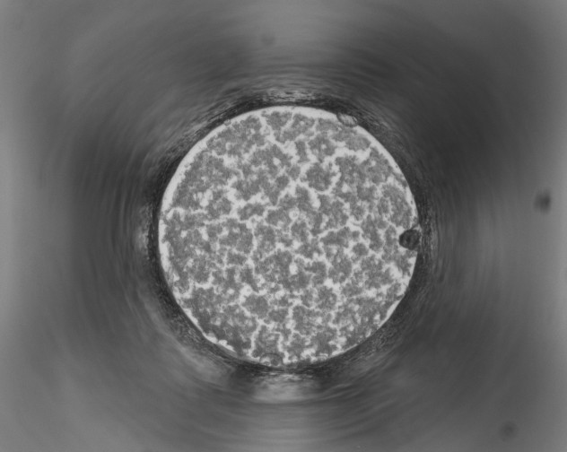 X0000114550315200911301230