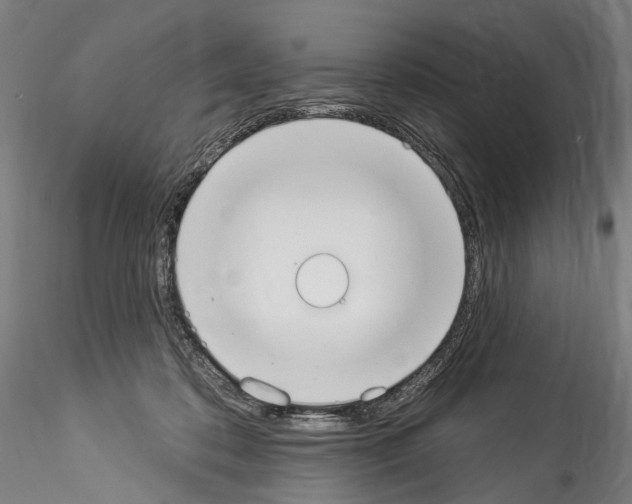 X0000114550316200911301230