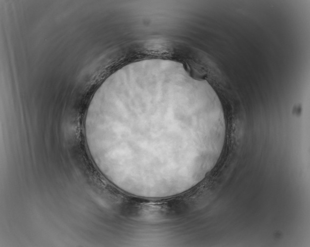 X0000114550320200911301230