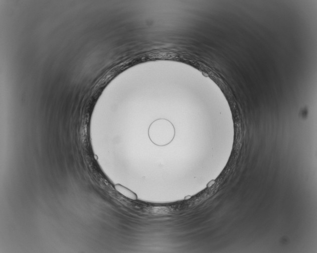 X0000114550324200911301230