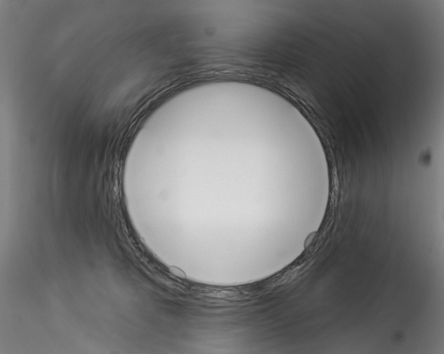 X0000114550325200911301230