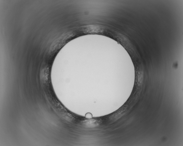 X0000114550326200911301230