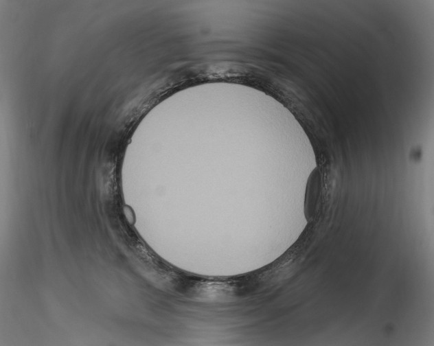 X0000114550327200911301230