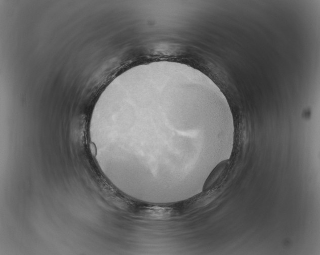 X0000114550328200911301230