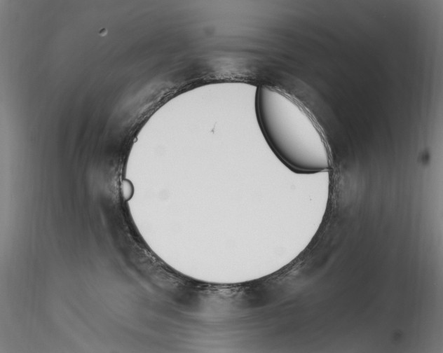 X0000114550329200911301230