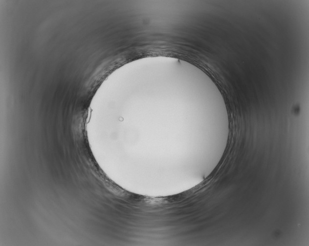 X0000114550333200911301230