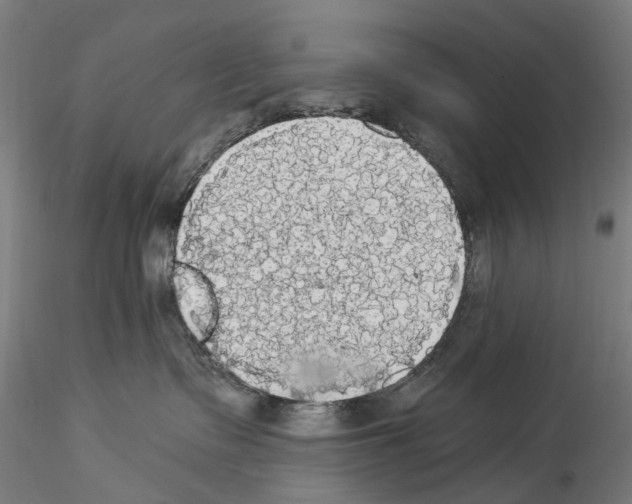 X0000114550335200911301230
