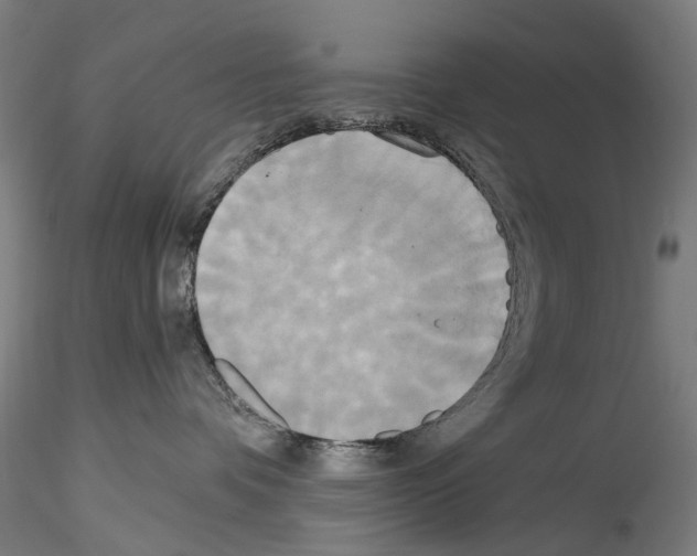 X0000114550336200911301230