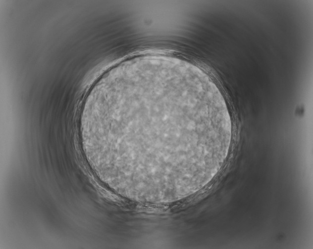 X0000114550337200911301229
