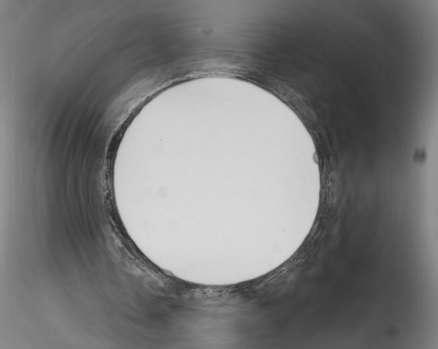 X0000114550338200911301229