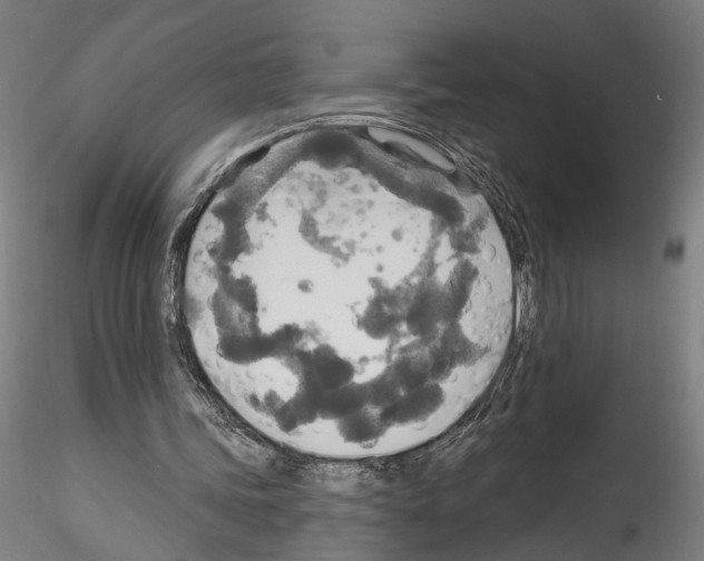 X0000114550339200911301229