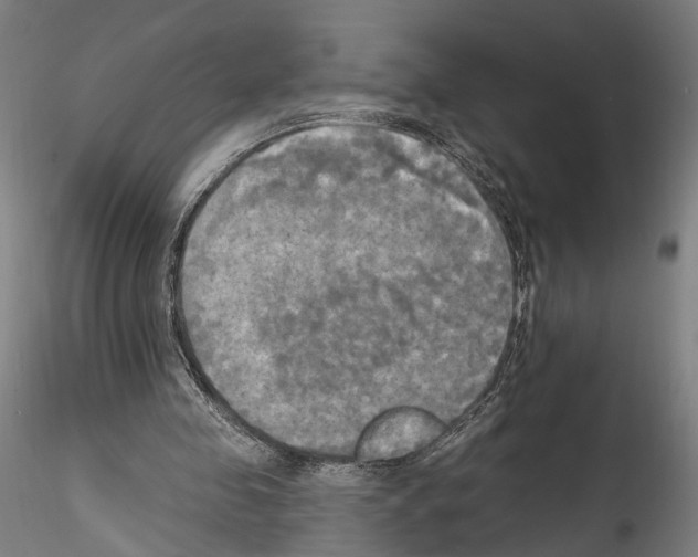 X0000114550341200911301229