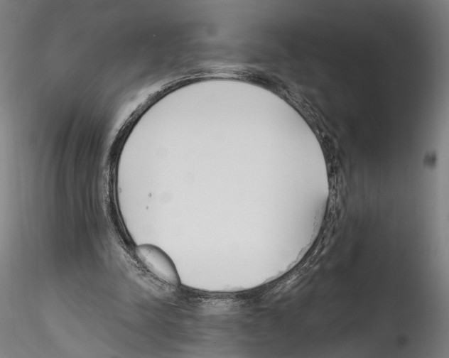 X0000114550342200911301229