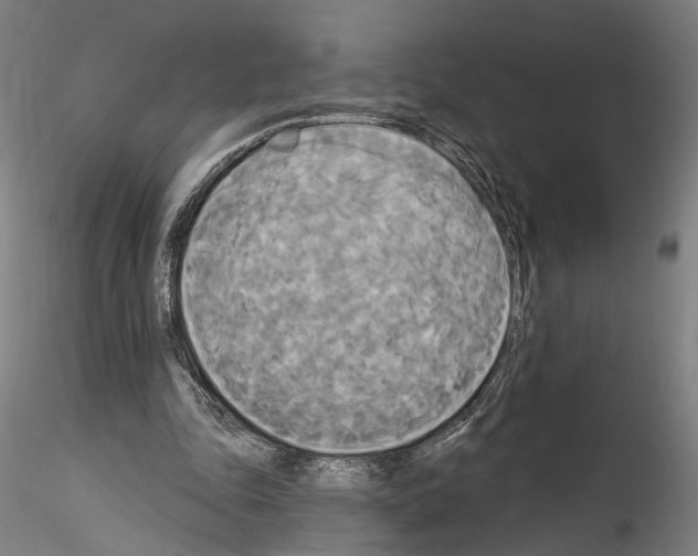 X0000114550343200911301229