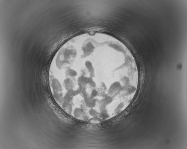 X0000114550345200911301229