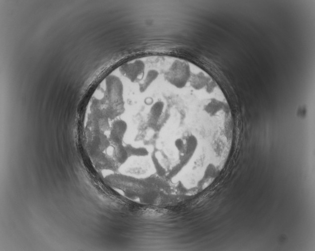 X0000114550346200911301229