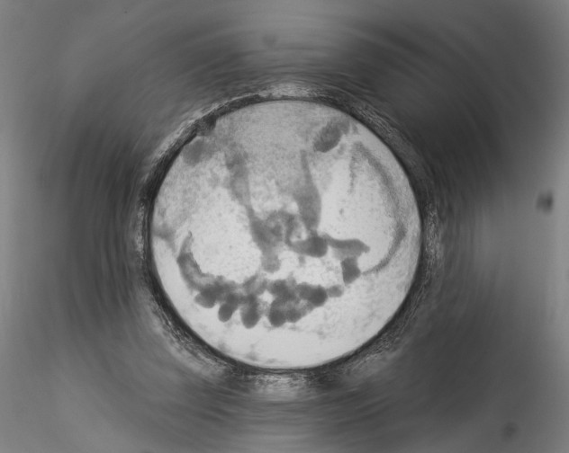 X0000114550347200911301229