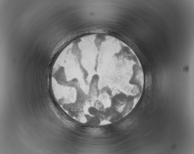 X0000114550349200911301229