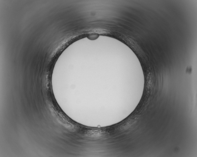 X0000114550351200911301229