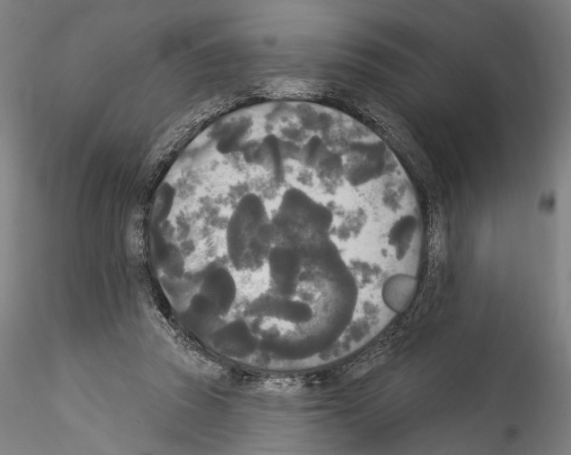 X0000114550353200911301229