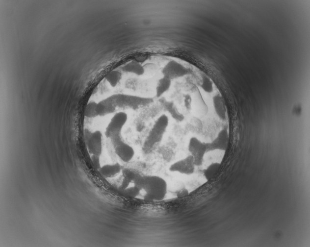 X0000114550354200911301229