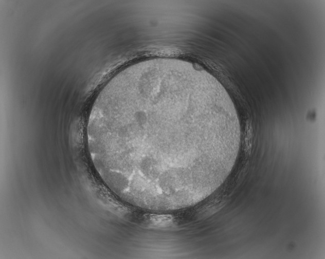 X0000114550355200911301229