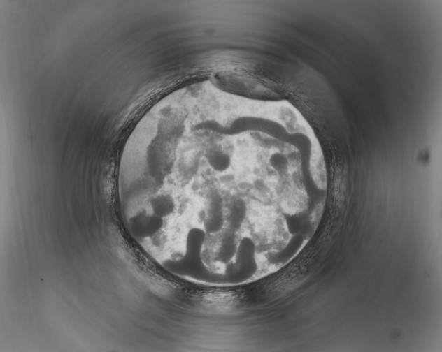 X0000114550357200911301229