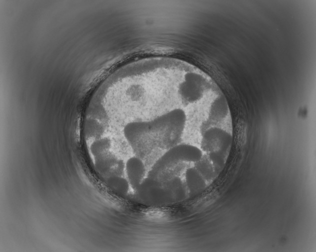 X0000114550358200911301229