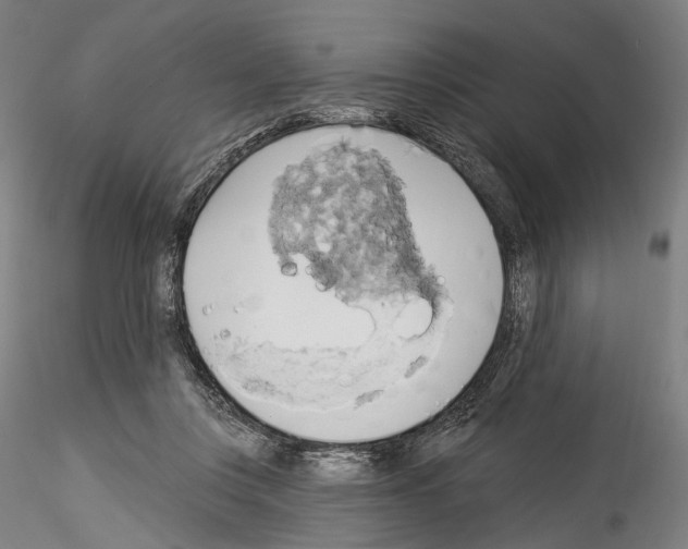 X0000114550359200911301229