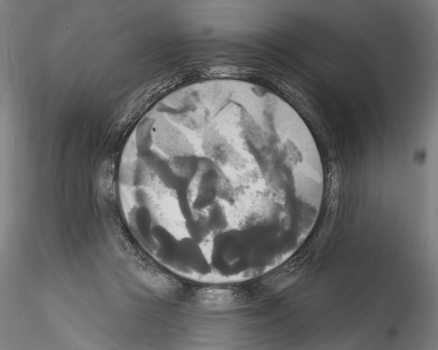 X0000114550361200911301230