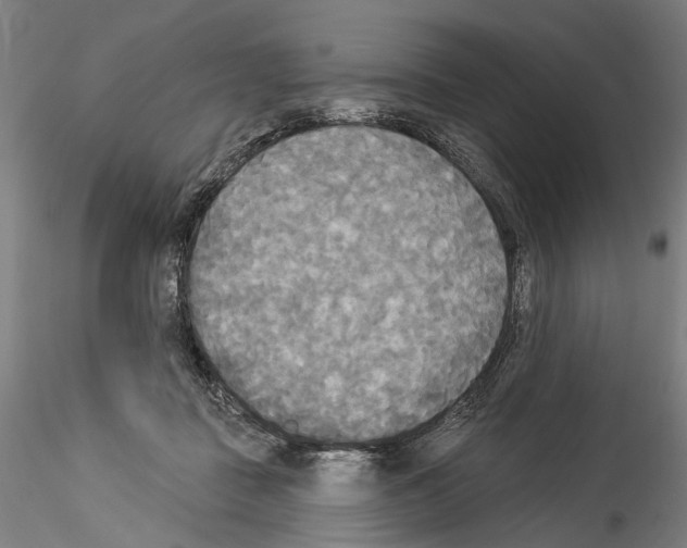 X0000114550363200911301230