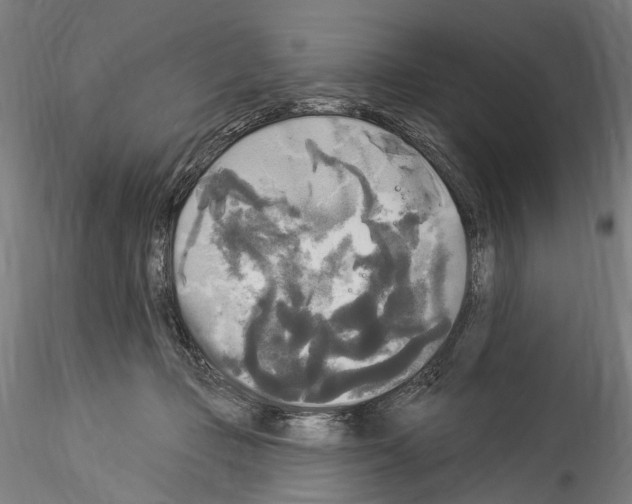 X0000114550365200911301230