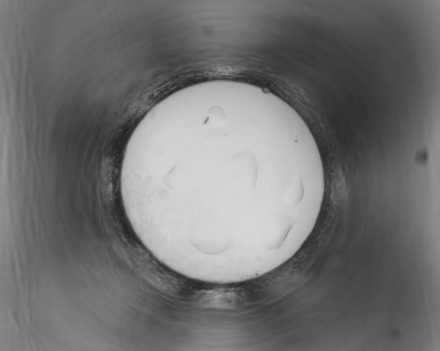 X0000114550366200911301230