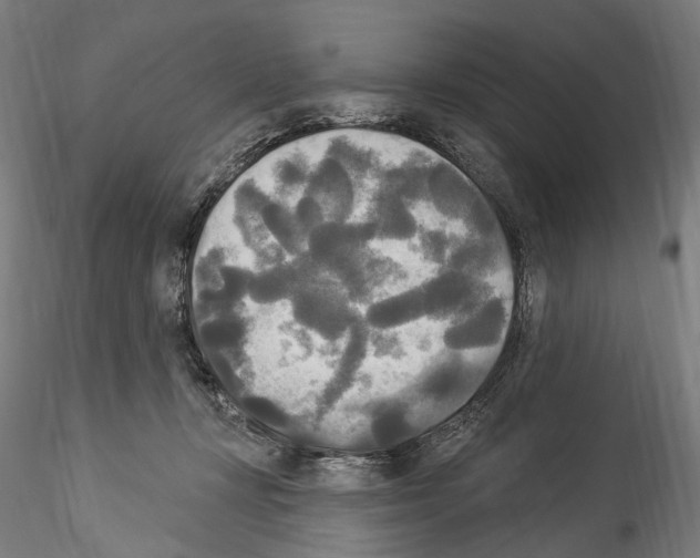 X0000114550367200911301230