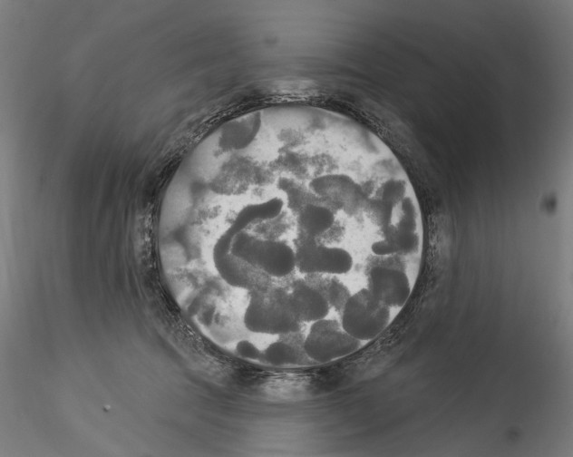 X0000114550369200911301230