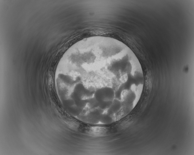 X0000114550371200911301230