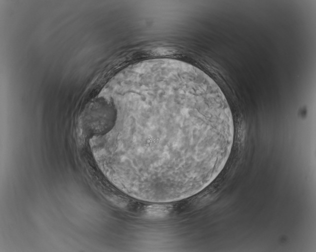 X0000114550373200911301230